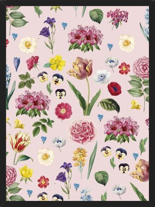 Cuadro Pink Flowers