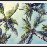 Cuadro Palms In The Sky