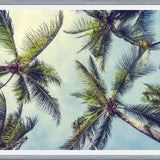 Cuadro Palms In The Sky