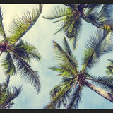 Cuadro Palms In The Sky