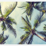 Cuadro Palms In The Sky