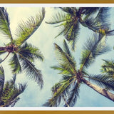Cuadro Palms In The Sky
