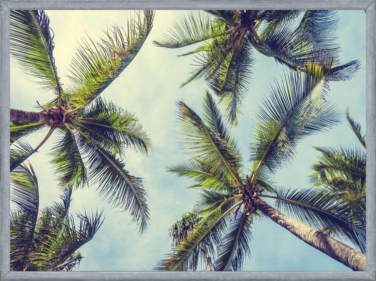 Cuadro Palms In The Sky