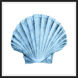 Cuadro Concha azul 2