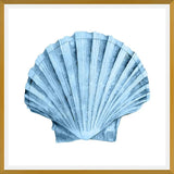 Cuadro Concha azul 2