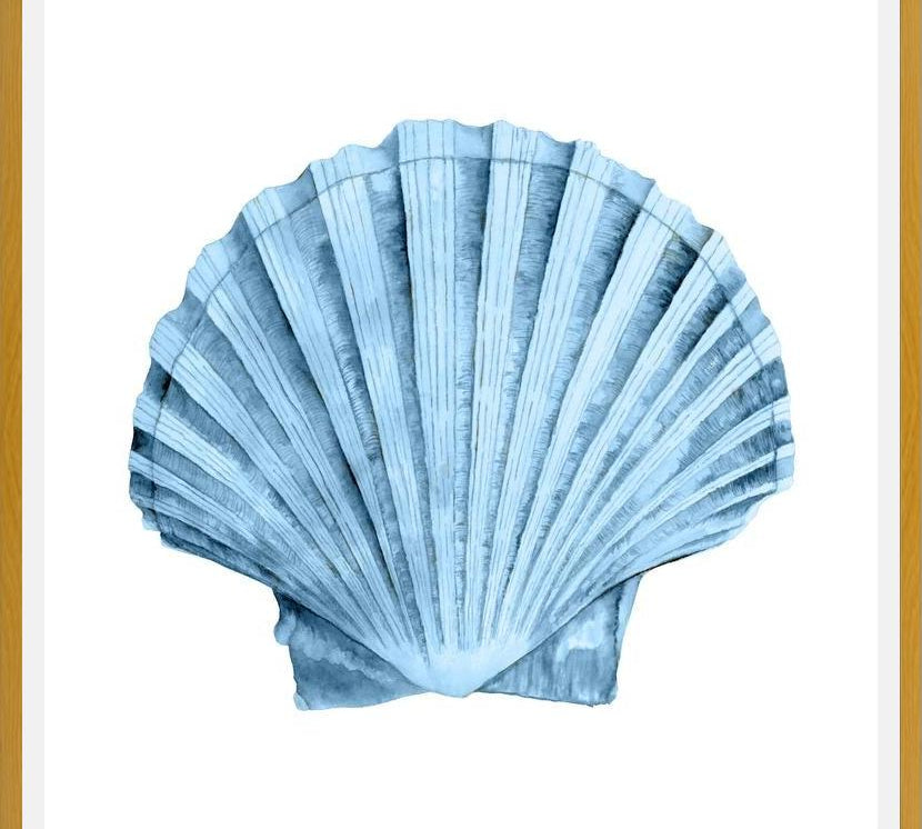 Cuadro Concha azul 2