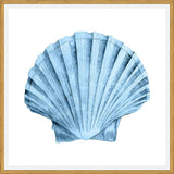 Cuadro Concha azul 2