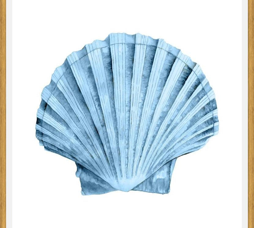 Cuadro Concha azul 2