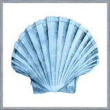 Cuadro Concha azul 2