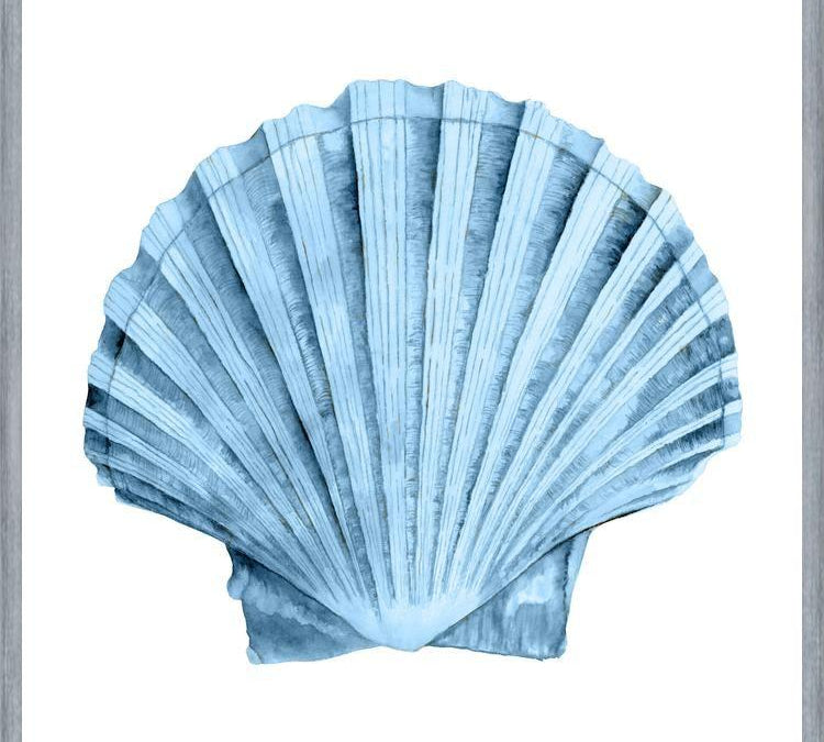 Cuadro Concha azul 2