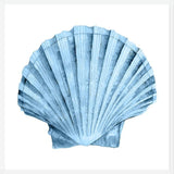 Cuadro Concha azul 2