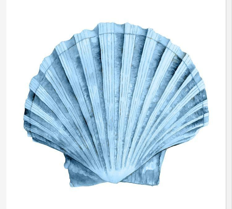 Cuadro Concha azul 2