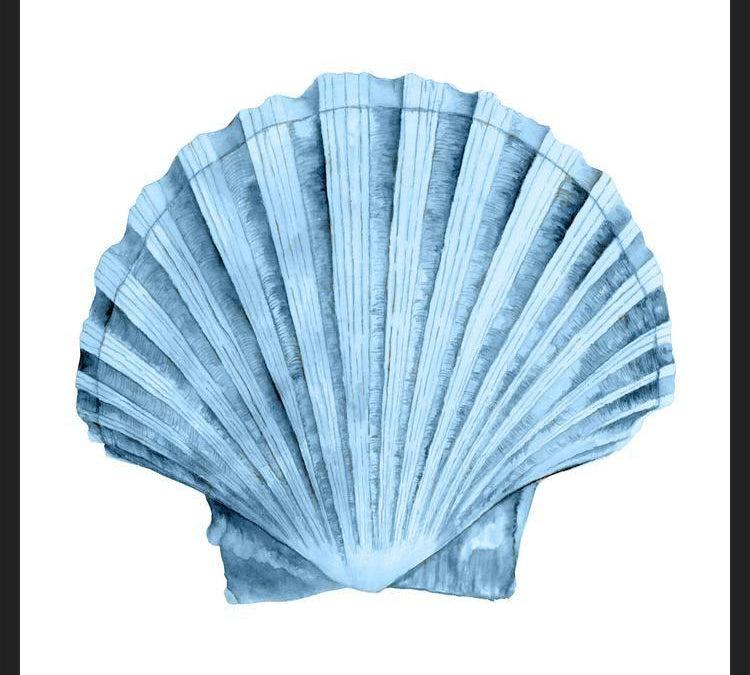 Cuadro Concha azul 2
