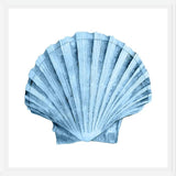 Cuadro Concha azul 2