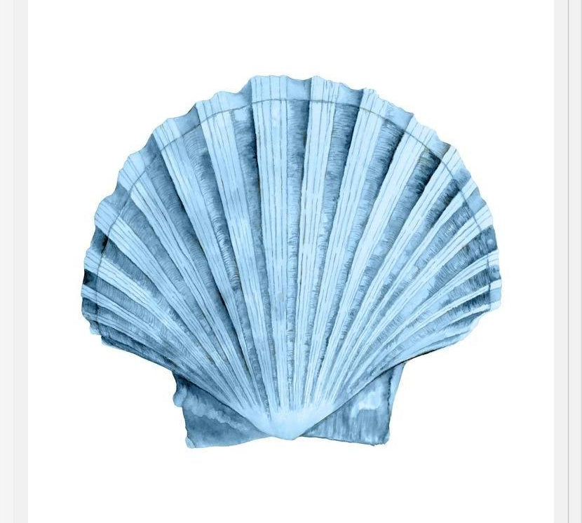 Cuadro Concha azul 2