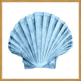Cuadro Concha azul 2