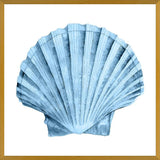 Cuadro Concha azul 2