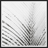 Cuadro Nature Mood White