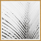 Cuadro Nature Mood White