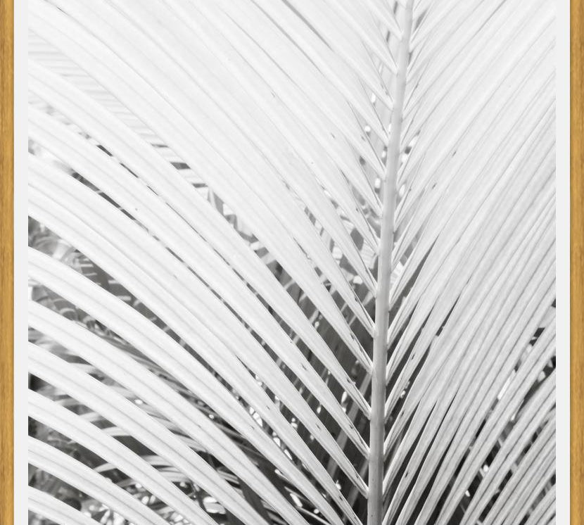 Cuadro Nature Mood White