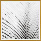 Cuadro Nature Mood White
