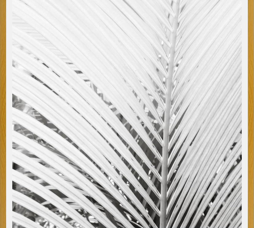 Cuadro Nature Mood White
