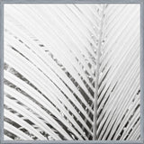 Cuadro Nature Mood White