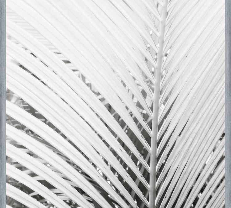 Cuadro Nature Mood White