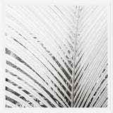 Cuadro Nature Mood White