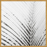 Cuadro Nature Mood White