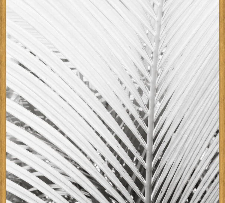 Cuadro Nature Mood White