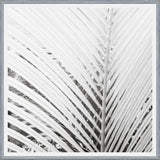 Cuadro Nature Mood White