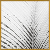 Cuadro Nature Mood White
