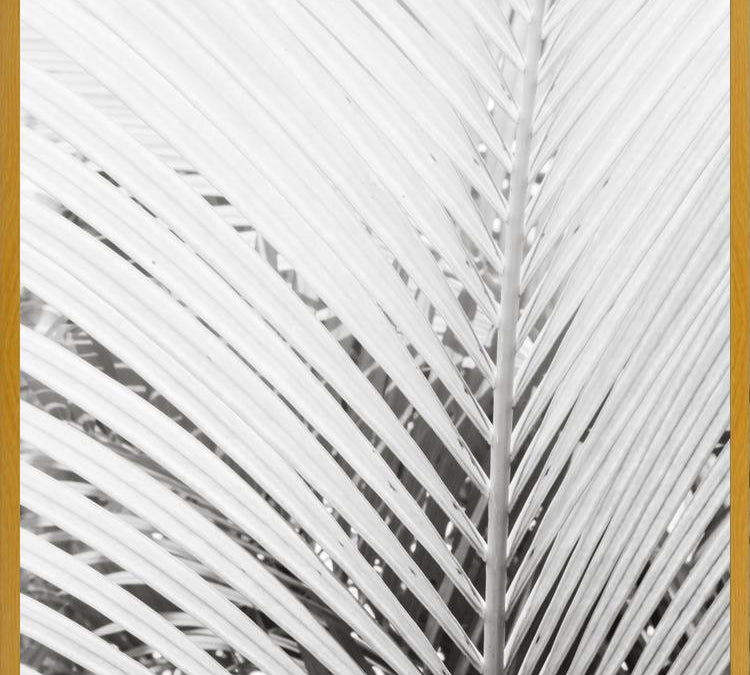Cuadro Nature Mood White