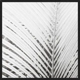 Cuadro Nature Mood White