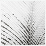 Cuadro Nature Mood White