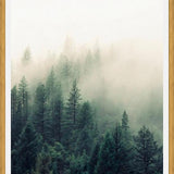 Cuadro The Fog And The Forest II