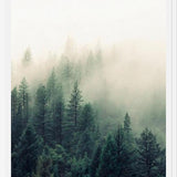 Cuadro The Fog And The Forest II