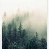 Cuadro The Fog And The Forest II