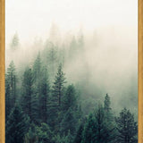 Cuadro The Fog And The Forest II
