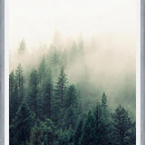 Cuadro The Fog And The Forest II