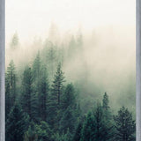 Cuadro The Fog And The Forest II