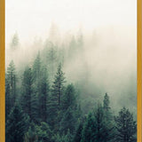 Cuadro The Fog And The Forest II