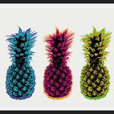 Cuadro 3 piñas
