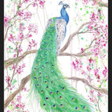 Cuadro Pavo Real