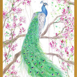 Cuadro Pavo Real