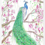 Cuadro Pavo Real