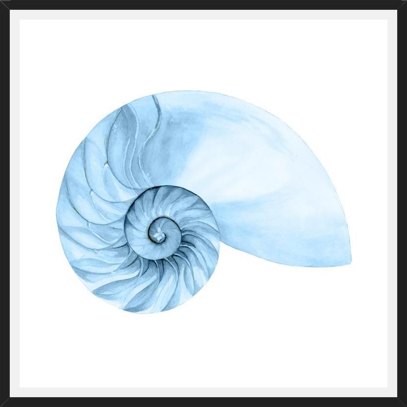Cuadro Concha azul 4