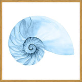 Cuadro Concha azul 4