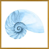 Cuadro Concha azul 4